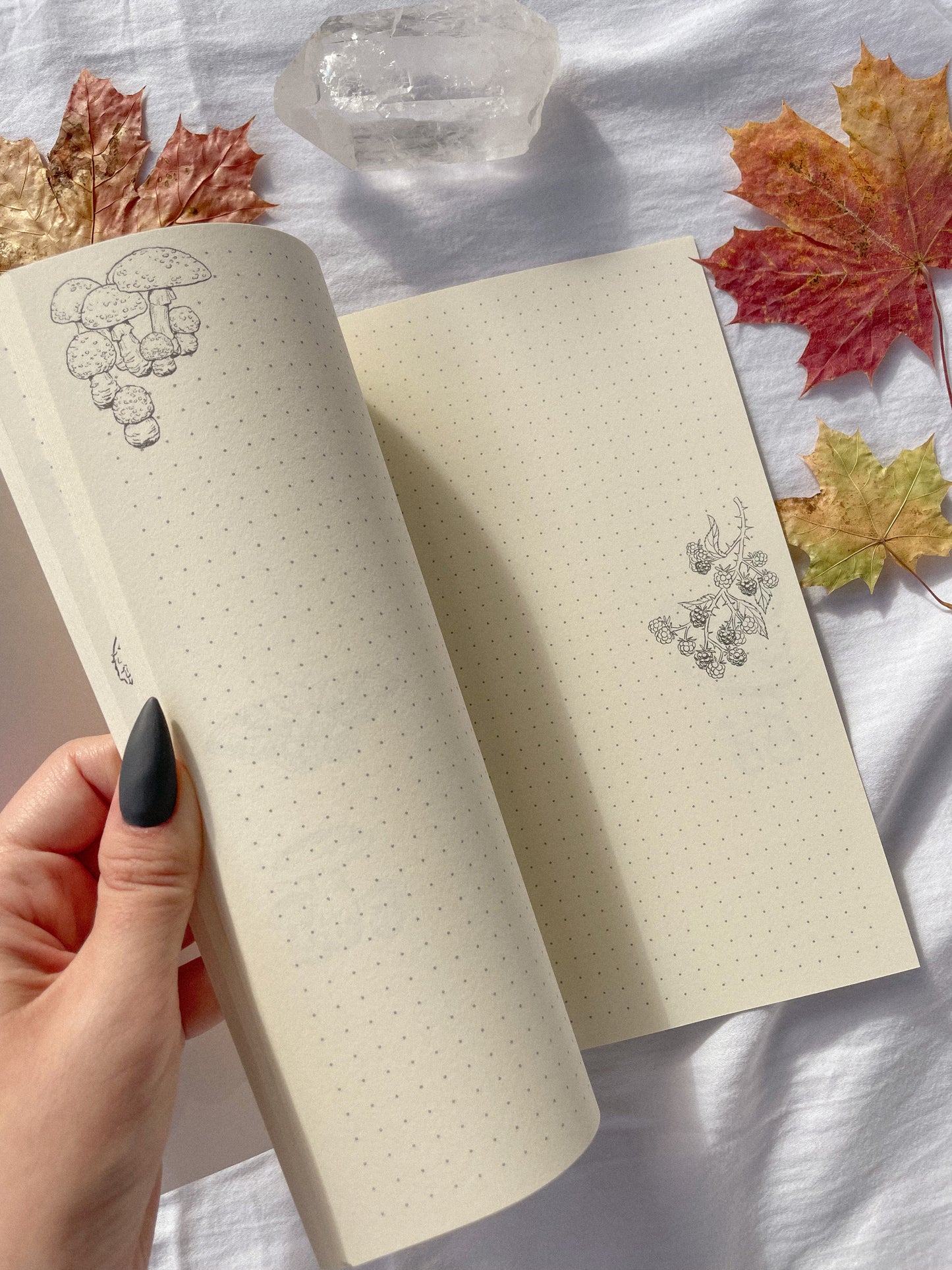 Autumn Notebook©