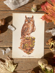 Autumn Prints Pack ©